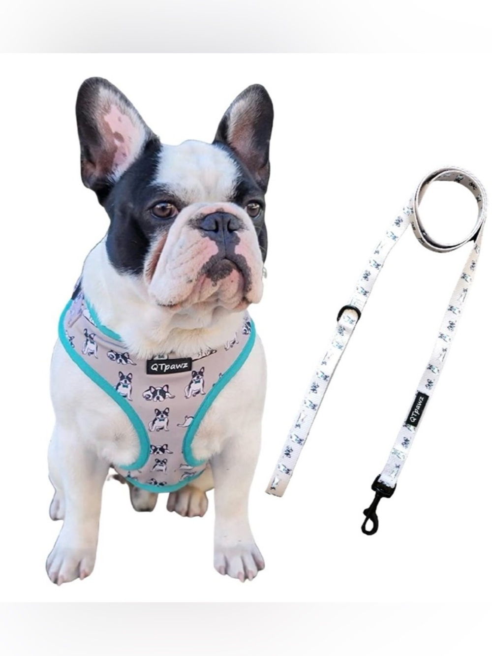 PAWZ Teal-Trim French Bulldog Print Harness and Leash Set
